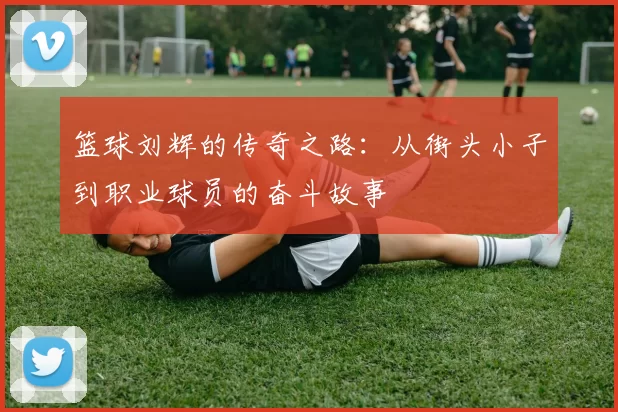 篮球刘辉的传奇之路：从街头小子到职业球员的奋斗故事