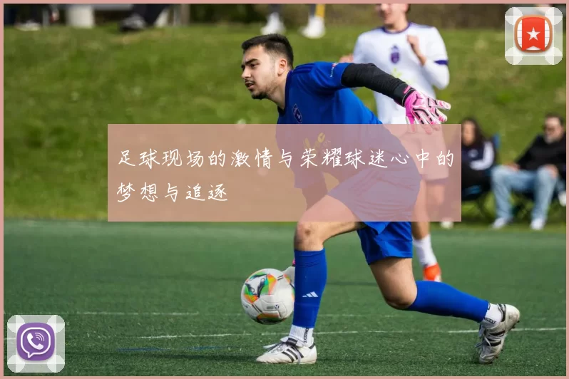 足球现场的激情与荣耀球迷心中的梦想与追逐