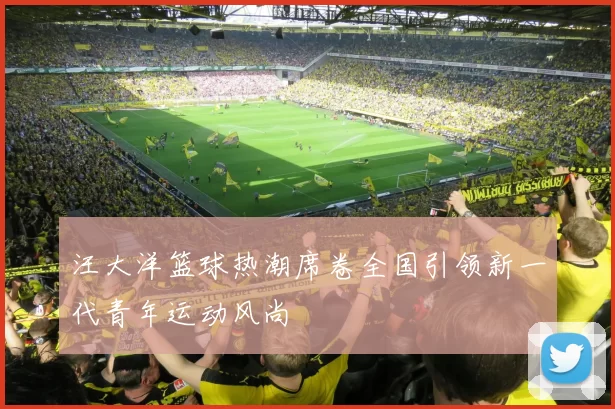 汪大洋篮球热潮席卷全国引领新一代青年运动风尚