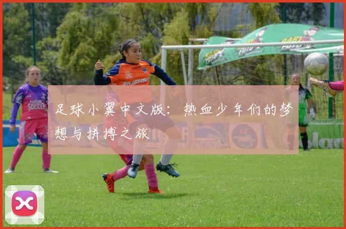 足球小翼中文版：热血少年们的梦想与拼搏之旅