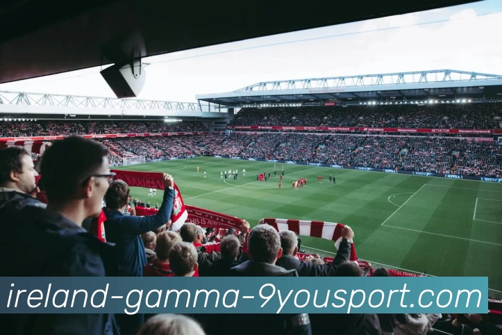 九游体育服务体系